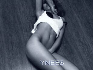 YNEES Blue Hot
