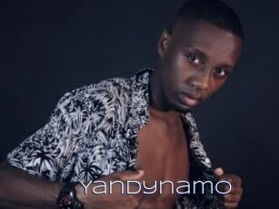 Yandynamo