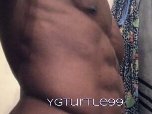 Ygturtle99
