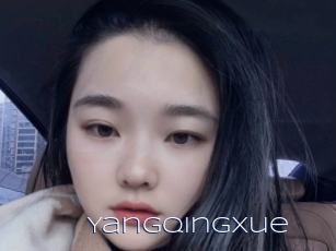 Yangqingxue