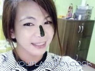 YourLADYBOYcock