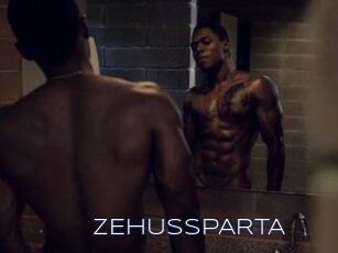 ZEHUS_SPARTA