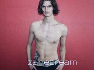ZaneDream