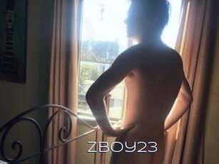 Zboy23