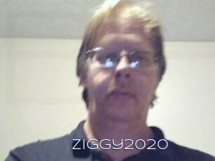Ziggy2020