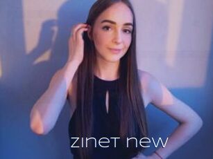 Zinet_new
