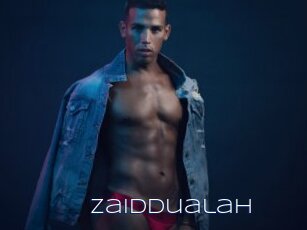 Zaiddualah