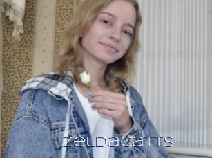 Zeldacatts