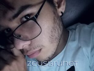 Zeusbrunet