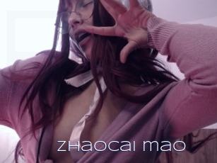 Zhaocai_mao