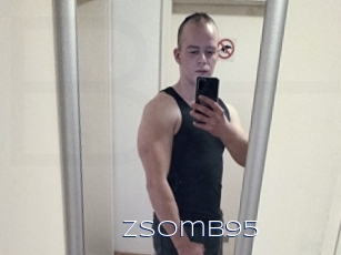 Zsomb95